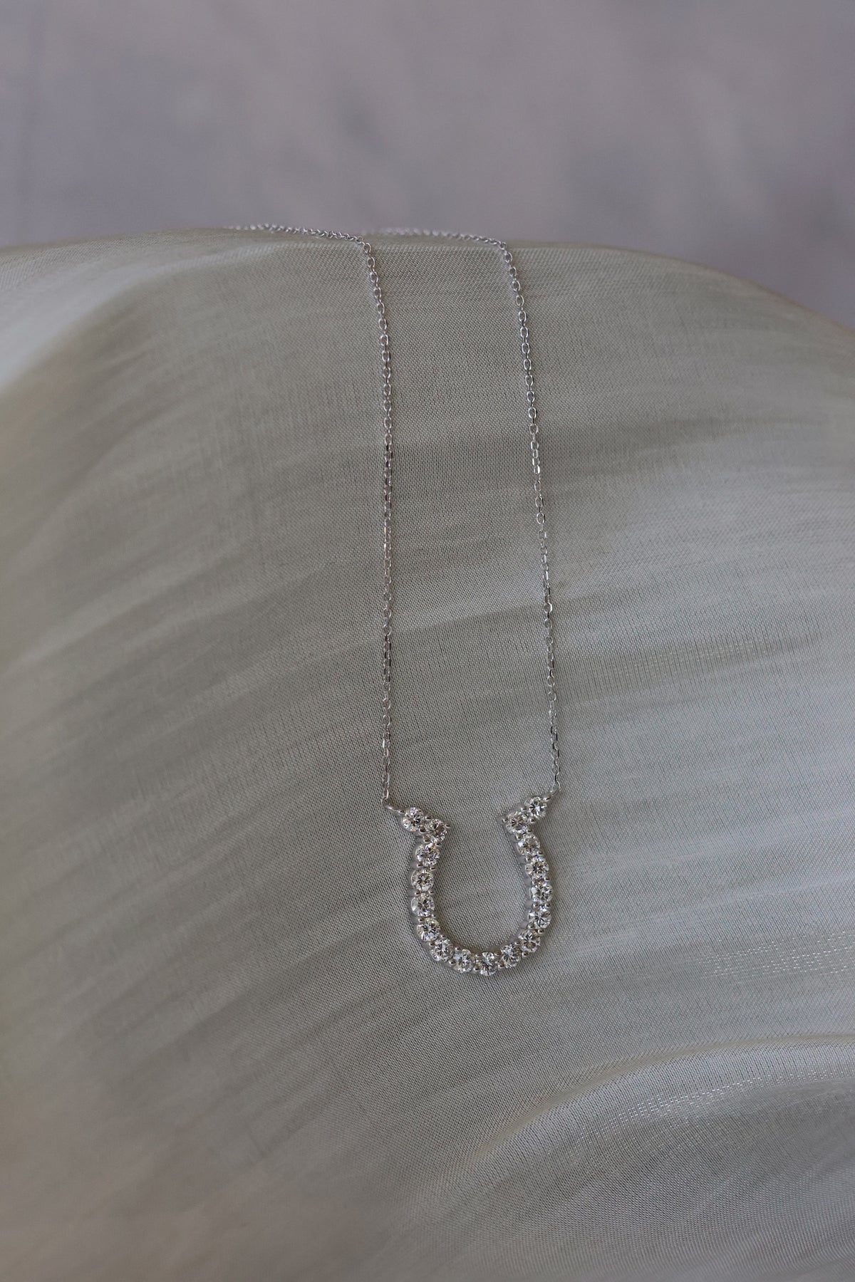 The Horseshoe Necklace