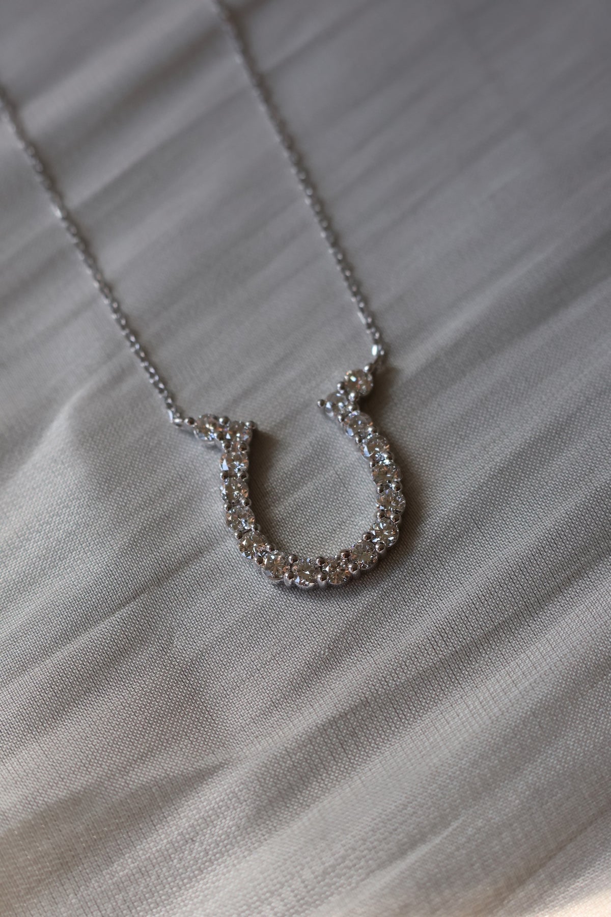 The Horseshoe Necklace