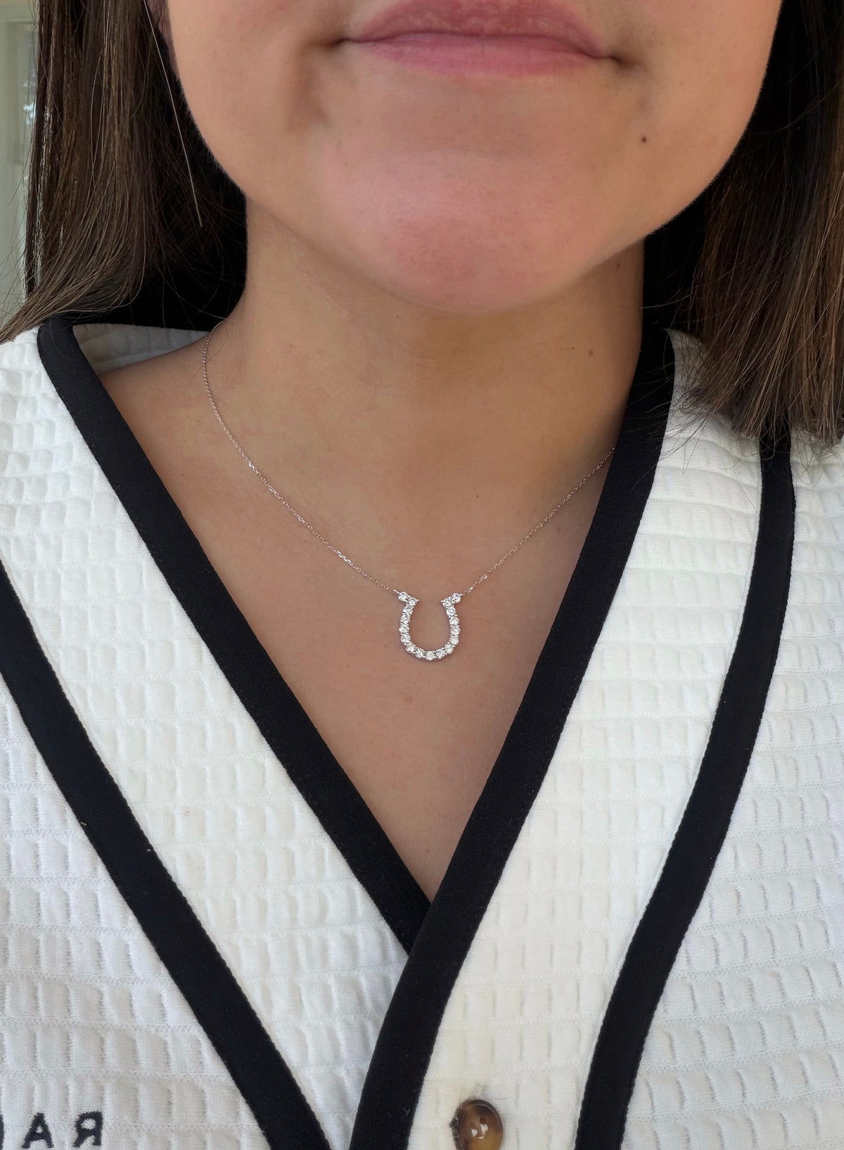 The Horseshoe Necklace